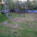 Кинологическая площадка в городе Старая Купавна