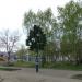 Светофорное дерево (ru) in Penza city