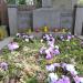 The grave of Apolonia Jodkowska in Warsaw city