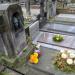 The grave of Ludomir Wolfke in Warsaw city