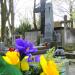 The grave of Felicjan Lenczewski – Samotyja in Warsaw city