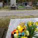 The grave of Maczyński family in Warsaw city