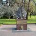 Рыжий лист в городе Сочи