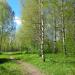 Макаринская роща в городе Череповец
