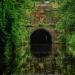 Wast Hills Tunnel North Portal