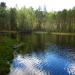Suolampi lake in Vyborg city
