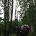 Пункт государственной геодезической сети «Сарапульская» в городе Екатеринбург