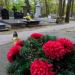 The grave of Kazimierz Kosicki in Warsaw city