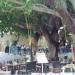 Restaurant Mango (en) στην πόλη Ρόδος (πόλη)