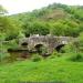 Fingle Bridge