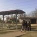 Навес в городе Каменск-Шахтинский