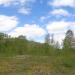 Пустырь в городе Череповец