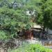 Shrine under tree in Sattur city