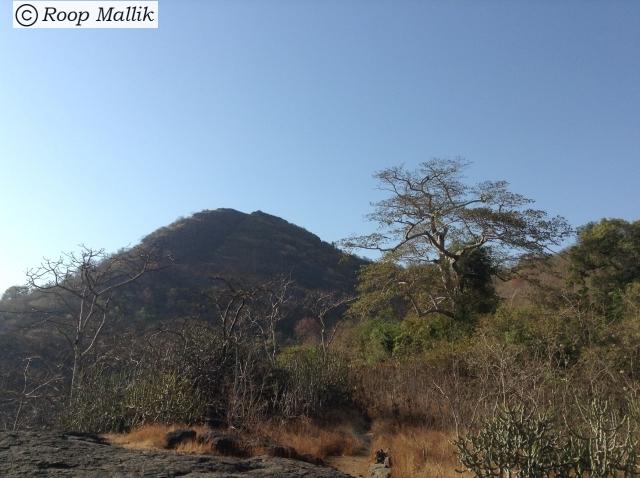 Kaldurg Fort It is strategically situated at a height of at least 475 meters above sea level, giving views of the arabian sea and the industrial town of palghar to the west. wikimapia