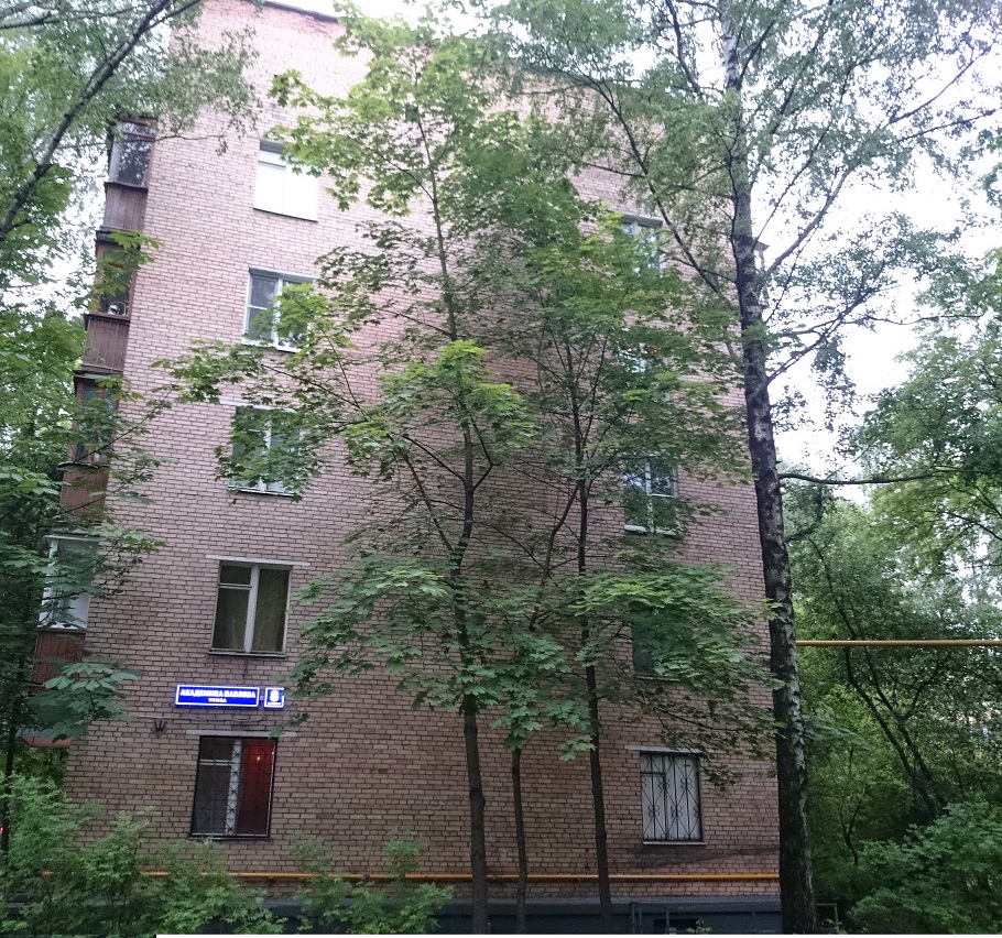 Владомир ул академика павлова 8 фото