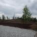 Парк жилого района Солнечный в городе Екатеринбург