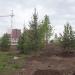 Парк жилого района Солнечный в городе Екатеринбург