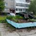 Клумба в городе Череповец
