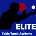 Elite Table Tennis Academy Penang in George Town city