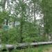 Кирилловское шоссе, 88 в городе Череповец