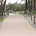 Wejście na plażę in Rowy city