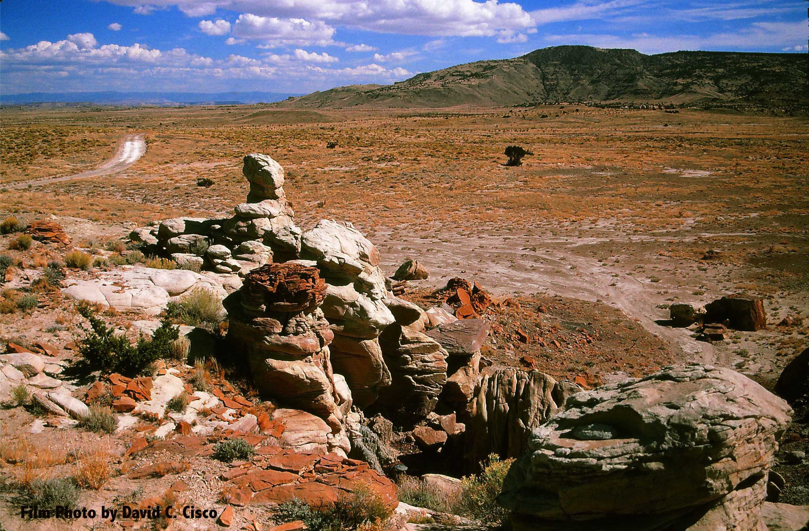 Chamisa Wilderness Study Area