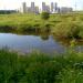 Пруд в городе Домодедово
