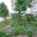 Цветник в городе Череповец