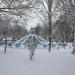 Аттракцион Лебеди. в городе Белореченск
