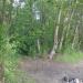 Остатки забора в городе Череповец