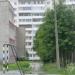 Рябиновая аллея в городе Череповец