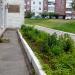 Клумба в городе Череповец