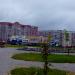 Цветник в городе Череповец