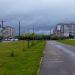 Придорожная аллея в городе Череповец