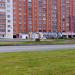 Травяная фигура в городе Череповец