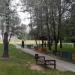 Парк «Березовый Гай» в городе Чернигов