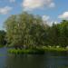 Great Weir Island