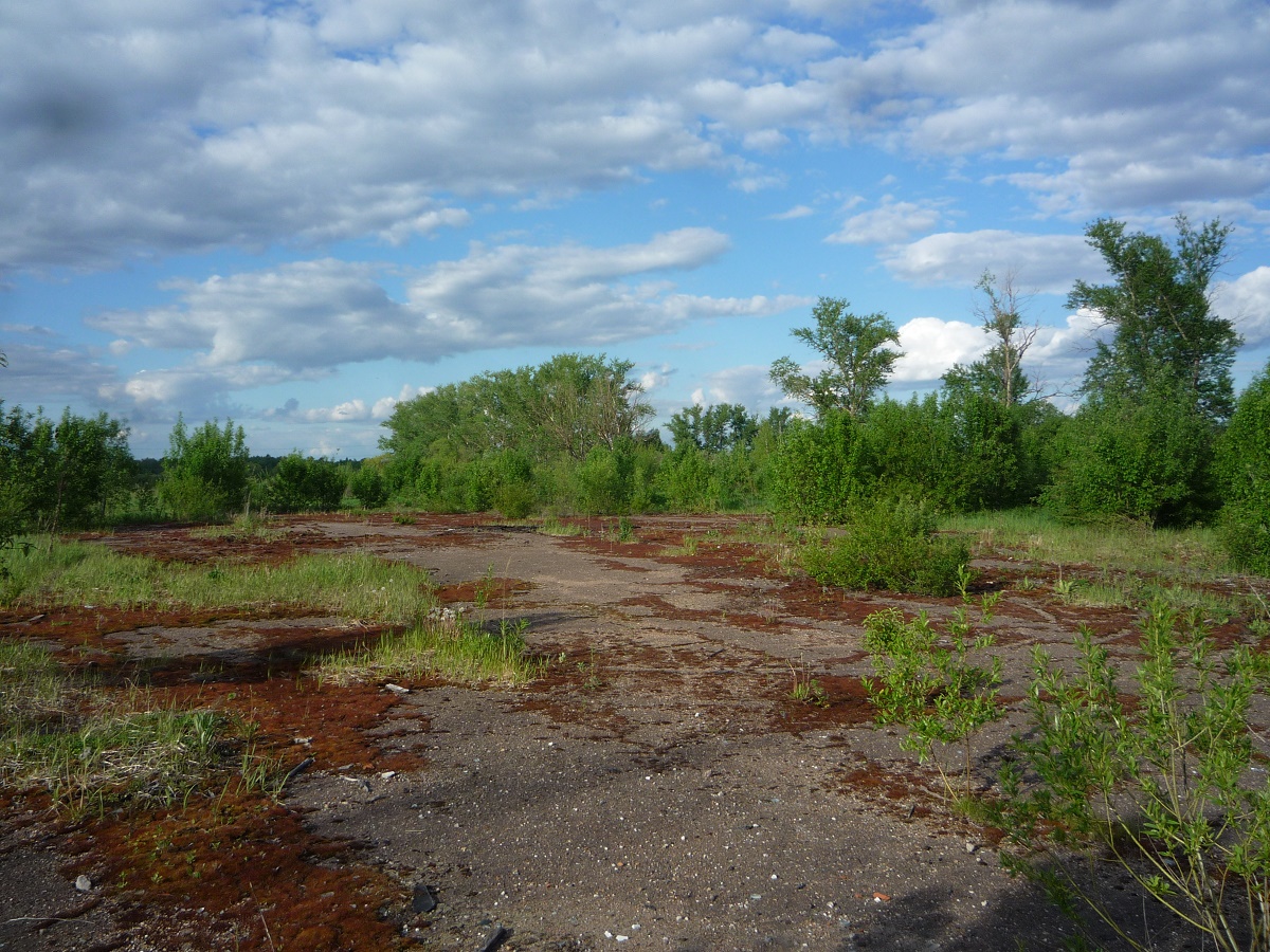 Асфальт трава заросшая Чернобыль