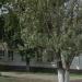 ул. Кувыкина, 27 в городе Октябрьский