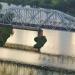 Бывший намывной островок в городе Каменск-Шахтинский