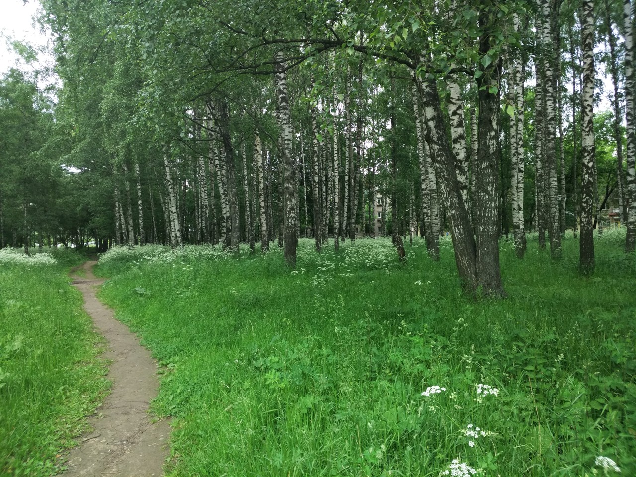 Роща - Тверь