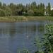 Пруд Болтушка в городе Белгород