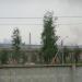 Солдатский клуб в городе Череповец