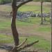 African Savanna exhibit in Phoenix, Arizona city