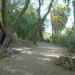 Andean Bear exhibit in Phoenix, Arizona city