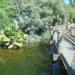 Wetlands Exhibit in Phoenix, Arizona city