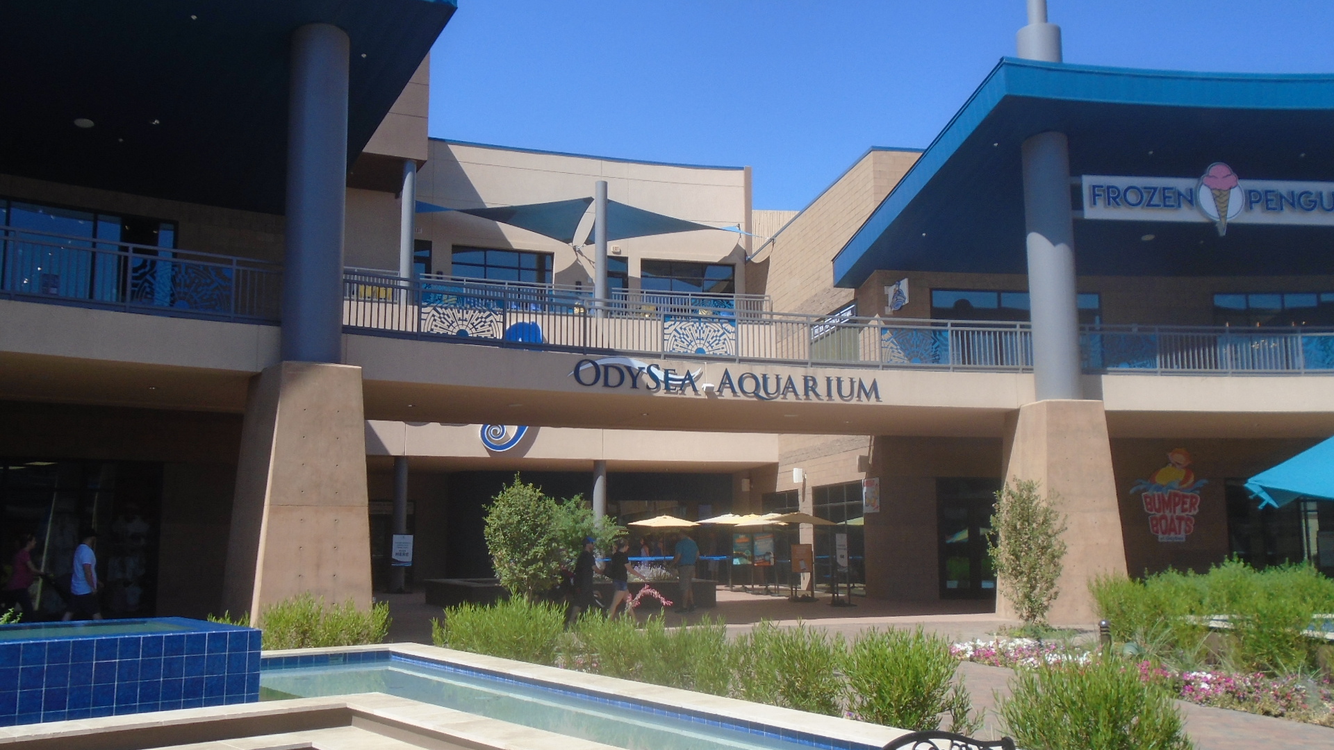 OdySea Aquarium