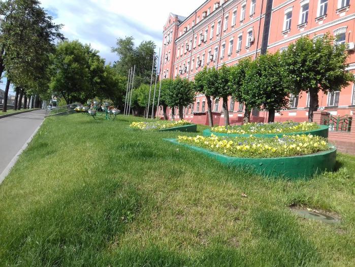 Московские Газоны Интернет Магазин