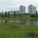 Sady-3 ('Gardens-3') / Ohnivka in Poltava city