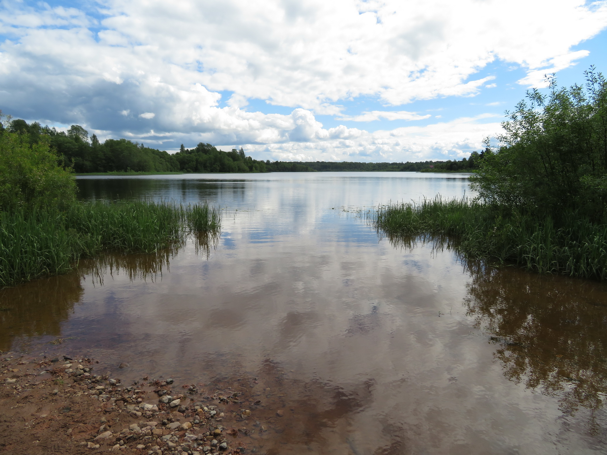 Озеро Ситное Новгородская область